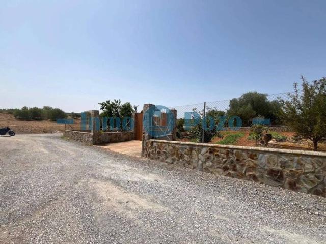 Terreno en Venta en Almendralejo