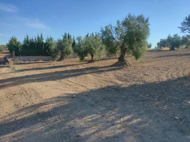 Terreno en Venta en Almendralejo