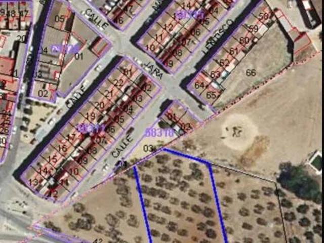 Terreno en Venta en Almensilla