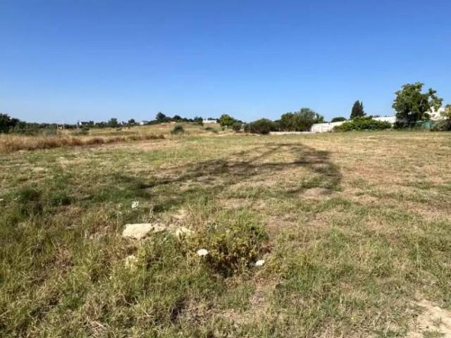 Terreno en Venta en Almensilla