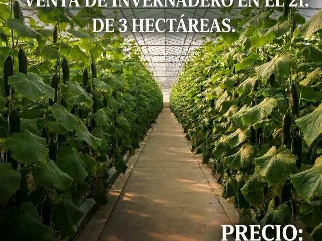 Terreno en Venta en Almería