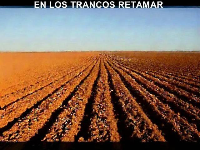 Terreno en Venta en Almería