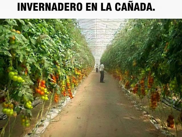 Terreno en Venta en Almería