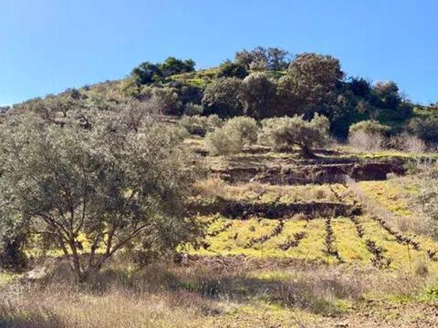 Terreno en Venta en Almuñécar