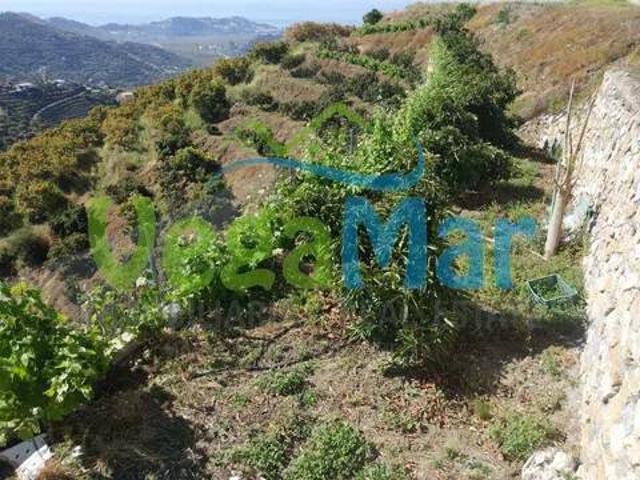 Terreno en Venta en Almuñécar