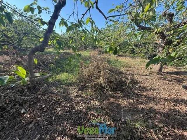 Terreno en Venta en Almuñécar