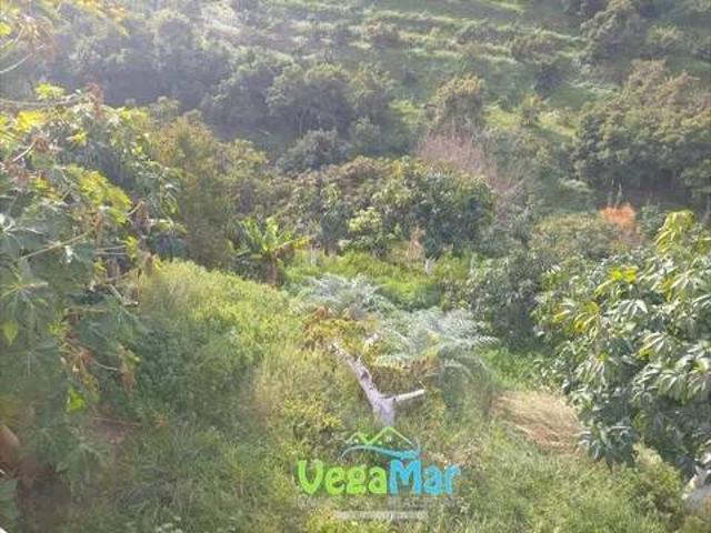 Terreno en Venta en Almuñécar