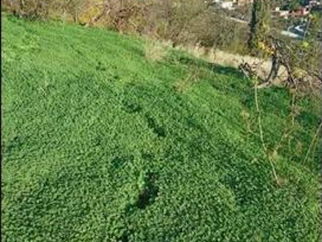 Terreno en Venta en Almuñécar