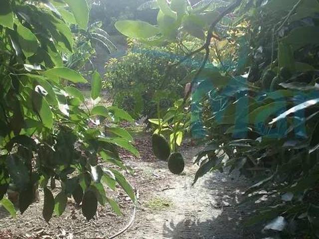 Terreno en Venta en Almuñécar