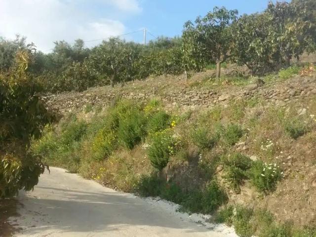 Terreno en Venta en Almuñécar