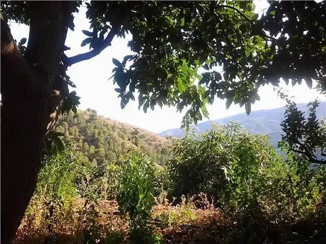 Terreno en Venta en Almuñécar