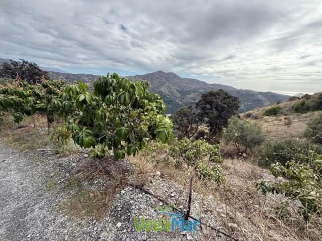 Terreno en venta en Almuñécar, Polígono 4, 18690