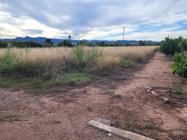 Terreno en venta en Alquerías del Niño Perdido, Alquerias Del Nino Perdido