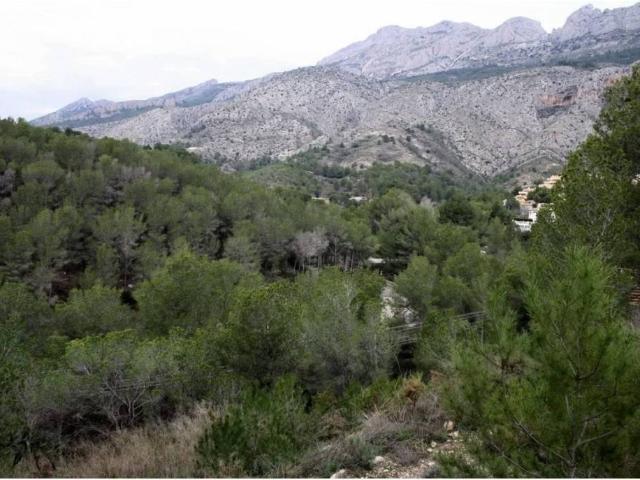 Terreno en Venta en Altea