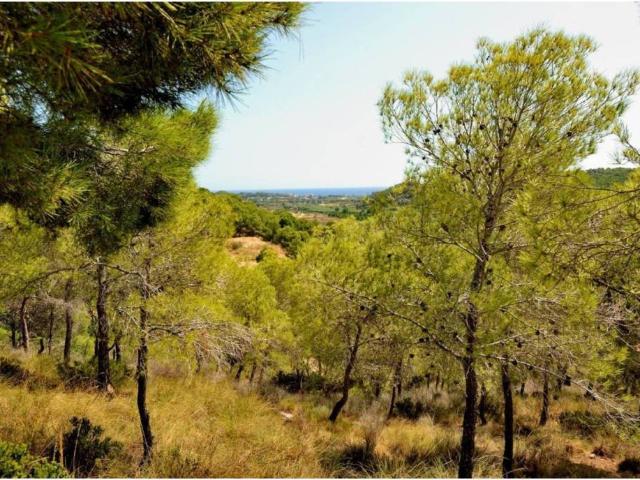 Terreno en Venta en Altea