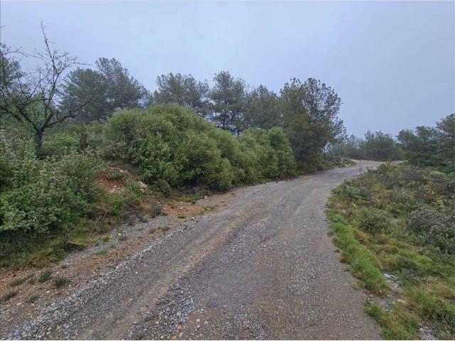 Terreno en Venta en Altura