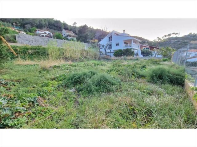 Terreno en Venta en Alzira