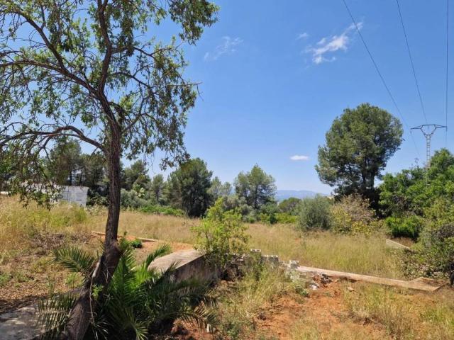 Terreno en Venta en Alzira