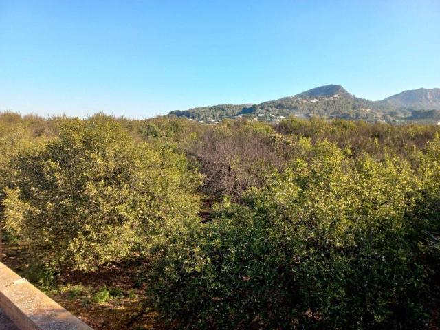 Terreno en Venta en Alzira