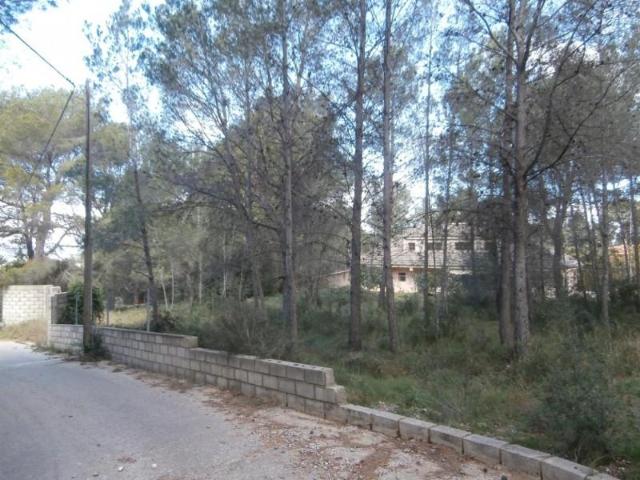 Terreno en venta en Alzira, Alzira
