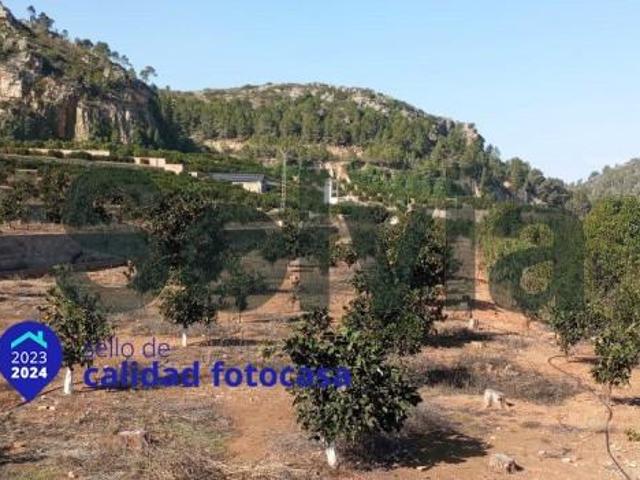 Terreno en venta en Alzira, La Barraca d'Aigues Vives