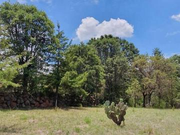 TERRENO EN VENTA EN AMEALCO DE BONFIL