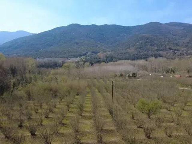 Terreno en Venta en Amer