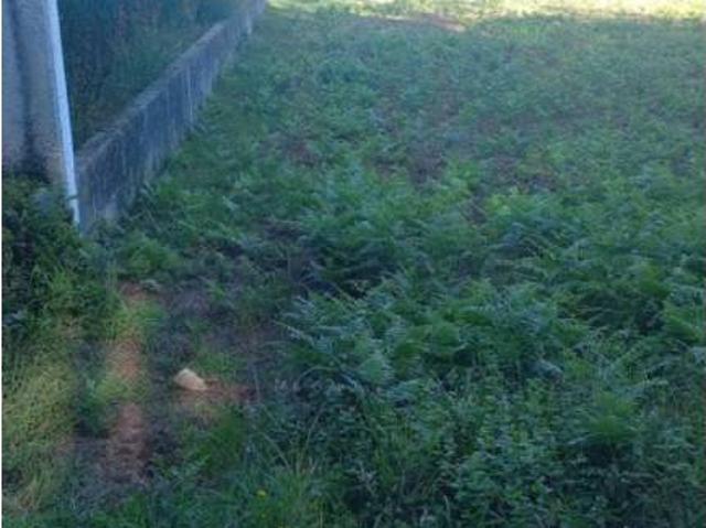 Terreno en Venta en Ames