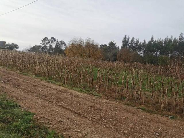 Terreno en Venta en Ames