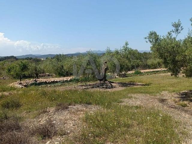 Terreno en venta en Ametlla de Mar, l´, de 12.172 m² por 75.000
