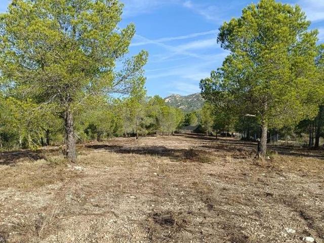 Terreno en venta en Ametlla de Mar, l´, de 15.000 m² por 270.000