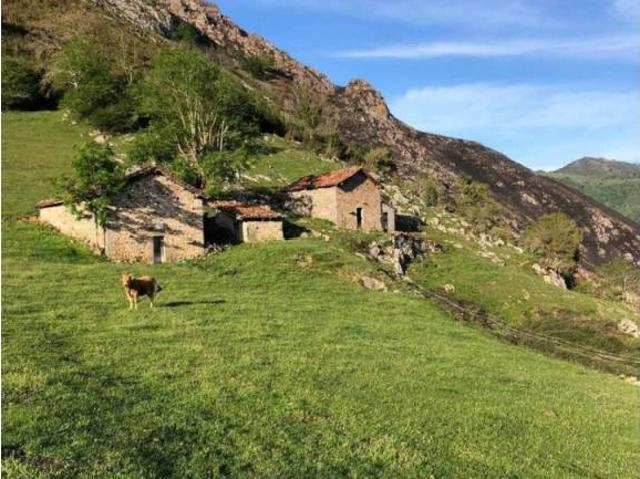 Terreno en Venta en Amieva