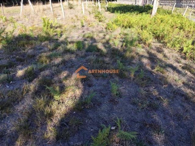 Terreno en Venta en Amoeiro