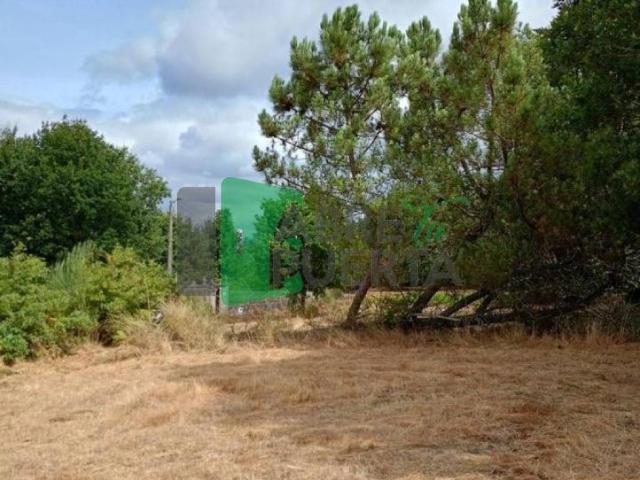 Terreno en Venta en Amoeiro