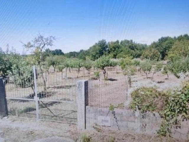 Terreno en venta en Amoeiro, Carretera amoeiro, 32170