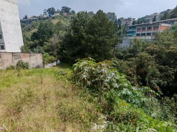 Terreno en Venta en Amp. Las Águilas para Desarrollo Residencial o Comercial