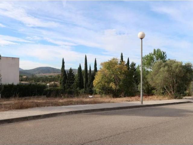 Terreno en Venta en Amposta