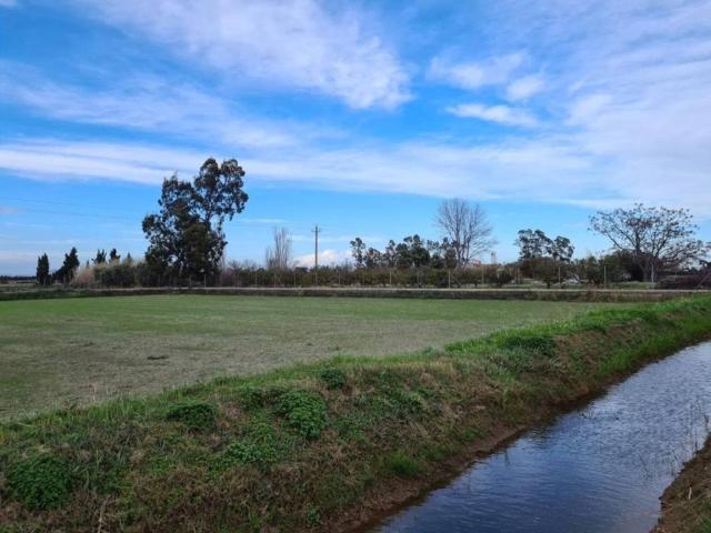 Terreno en Venta en Amposta