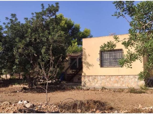 Terreno en Venta en Amposta