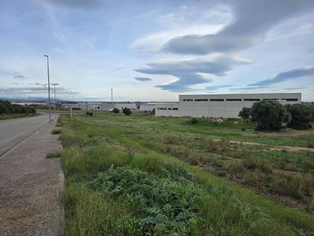 Terreno en Venta en Amposta