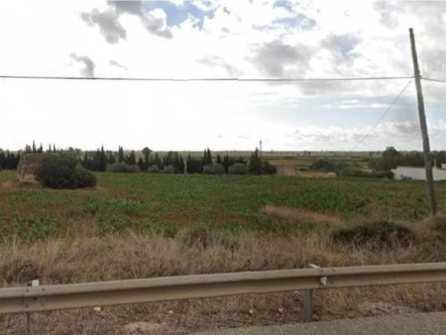 Terreno en Venta en Amposta
