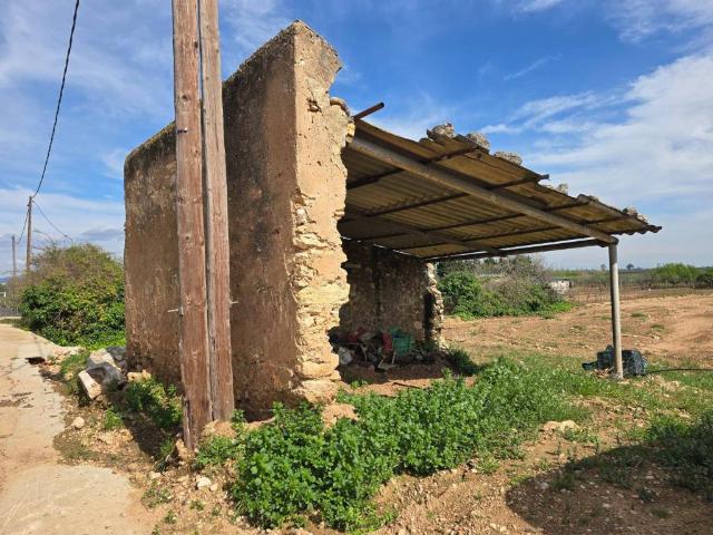 Terreno en Venta en Amposta