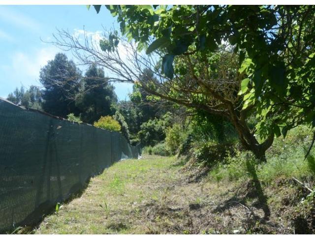 Terreno en venta en Antonio Machado, 17