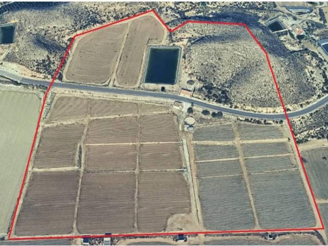 Terreno en Venta en Antas