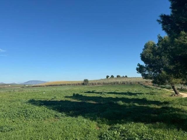 Terreno en Venta en Antequera