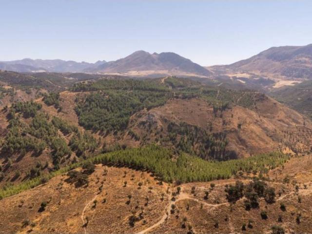 Terreno en Venta en Antequera