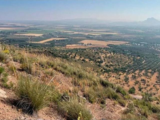 Terreno en Venta en Antequera