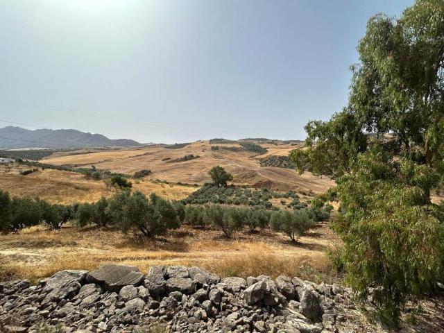 Terreno en Venta en Antequera
