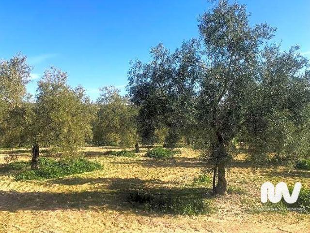 Terreno en venta en Antequera, Paraje de la Doctora, 29200