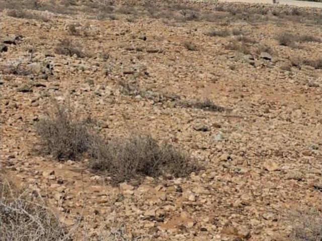 Terreno en Venta en Antigua